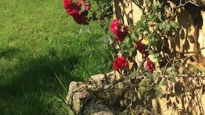 Un jardín con rosas rojas, un muro de piedra y un edificio amarillo con ventanas azules al fondo.