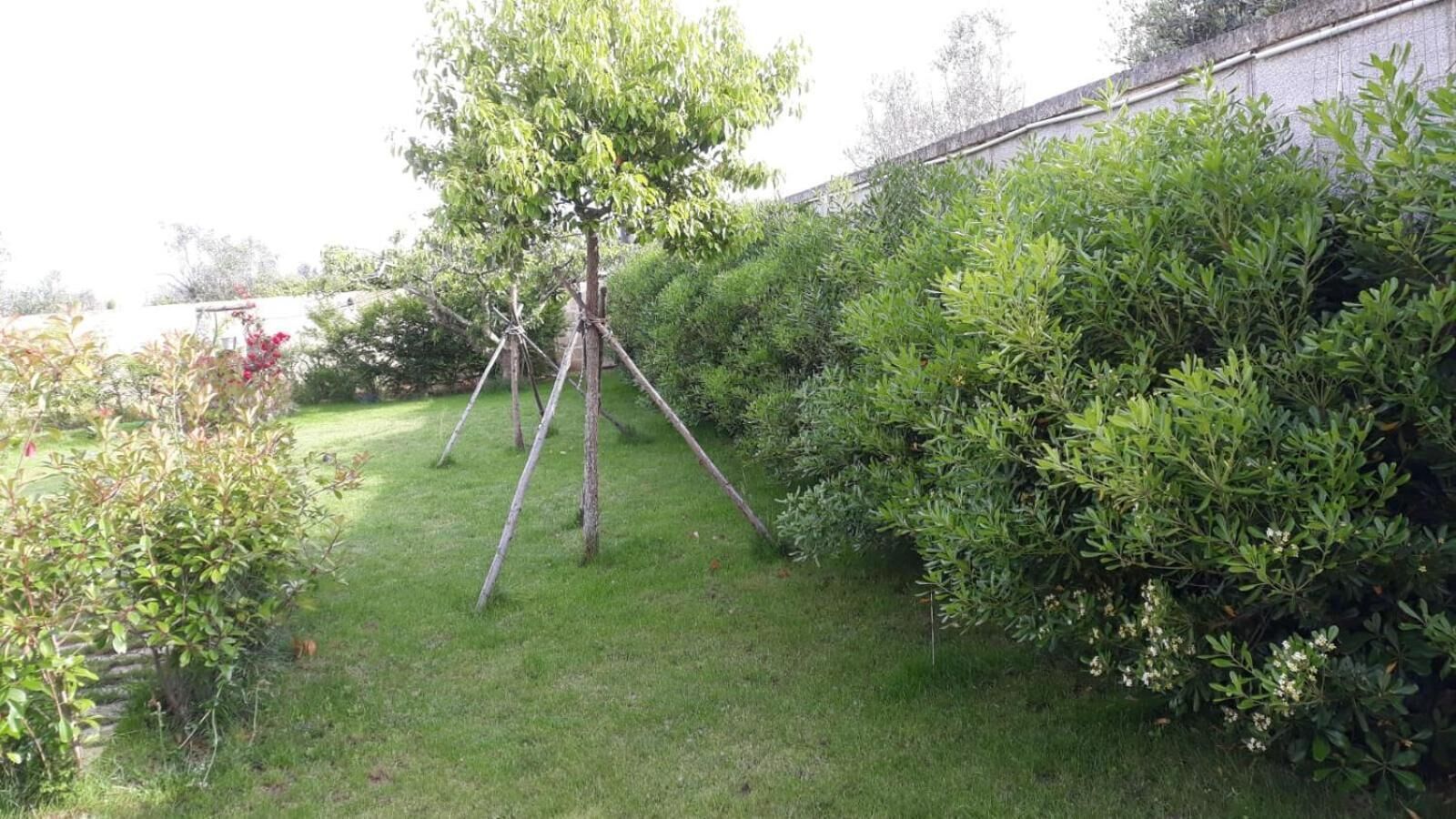 Photo - Terra e colori