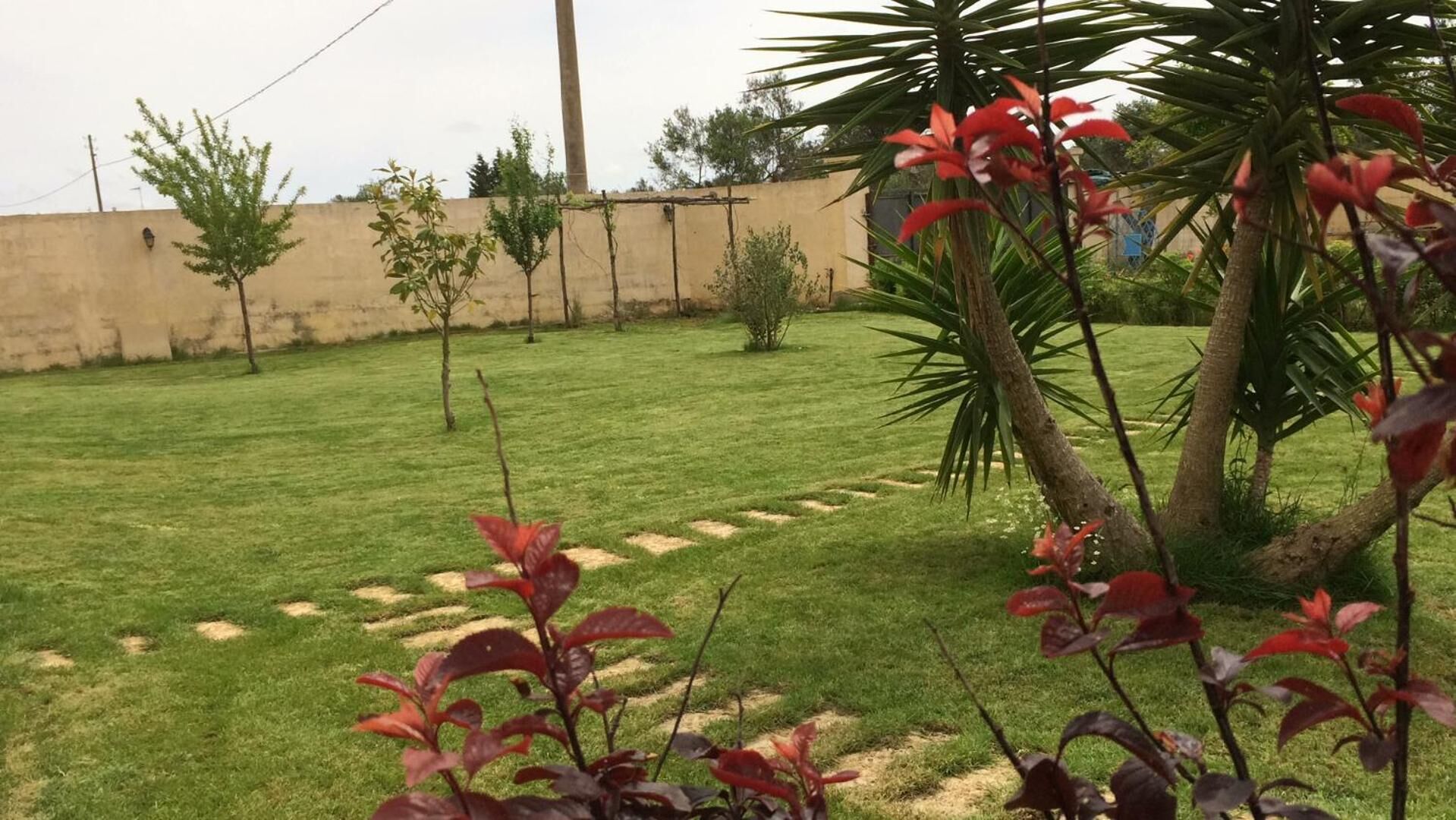 Photo - Terra e colori