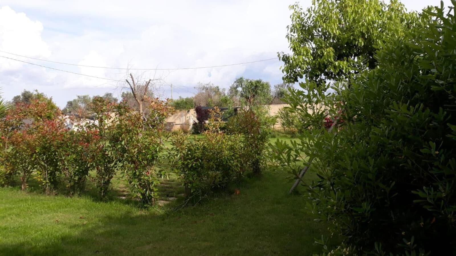 Photo - Terra e colori