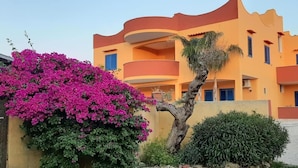 Un edificio de varios pisos con balcones, rodeado de exuberante vegetación y vibrantes flores de buganvilla rosa.