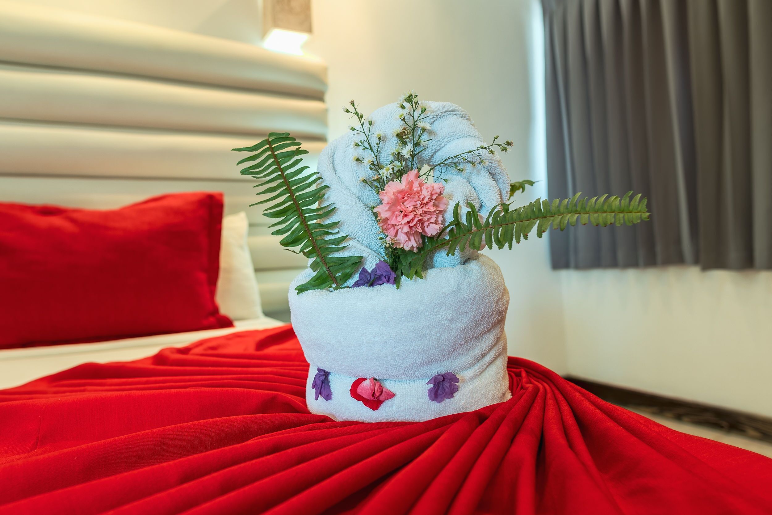 Foto - Hotel Silvestre