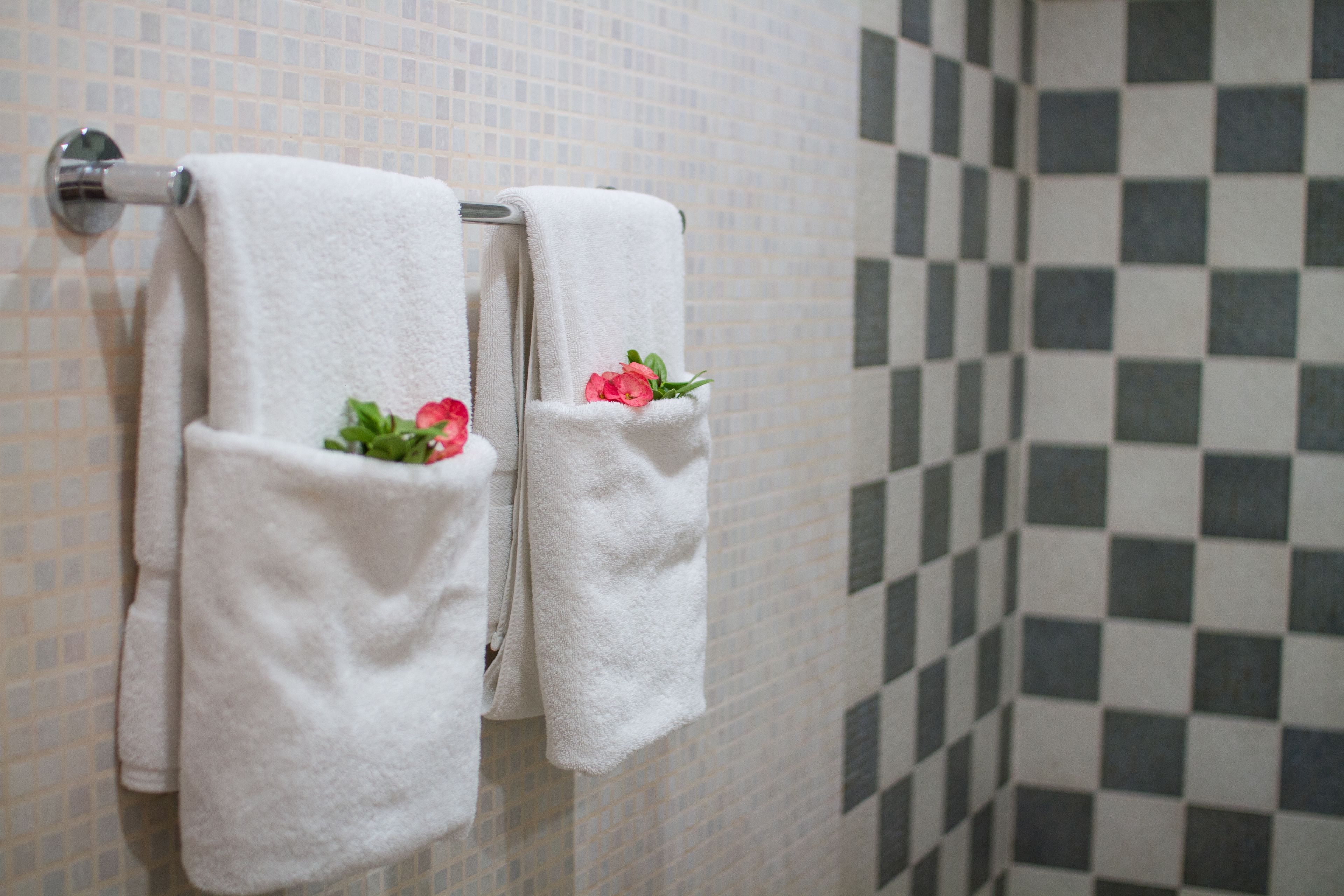 Foto - Hotel Silvestre