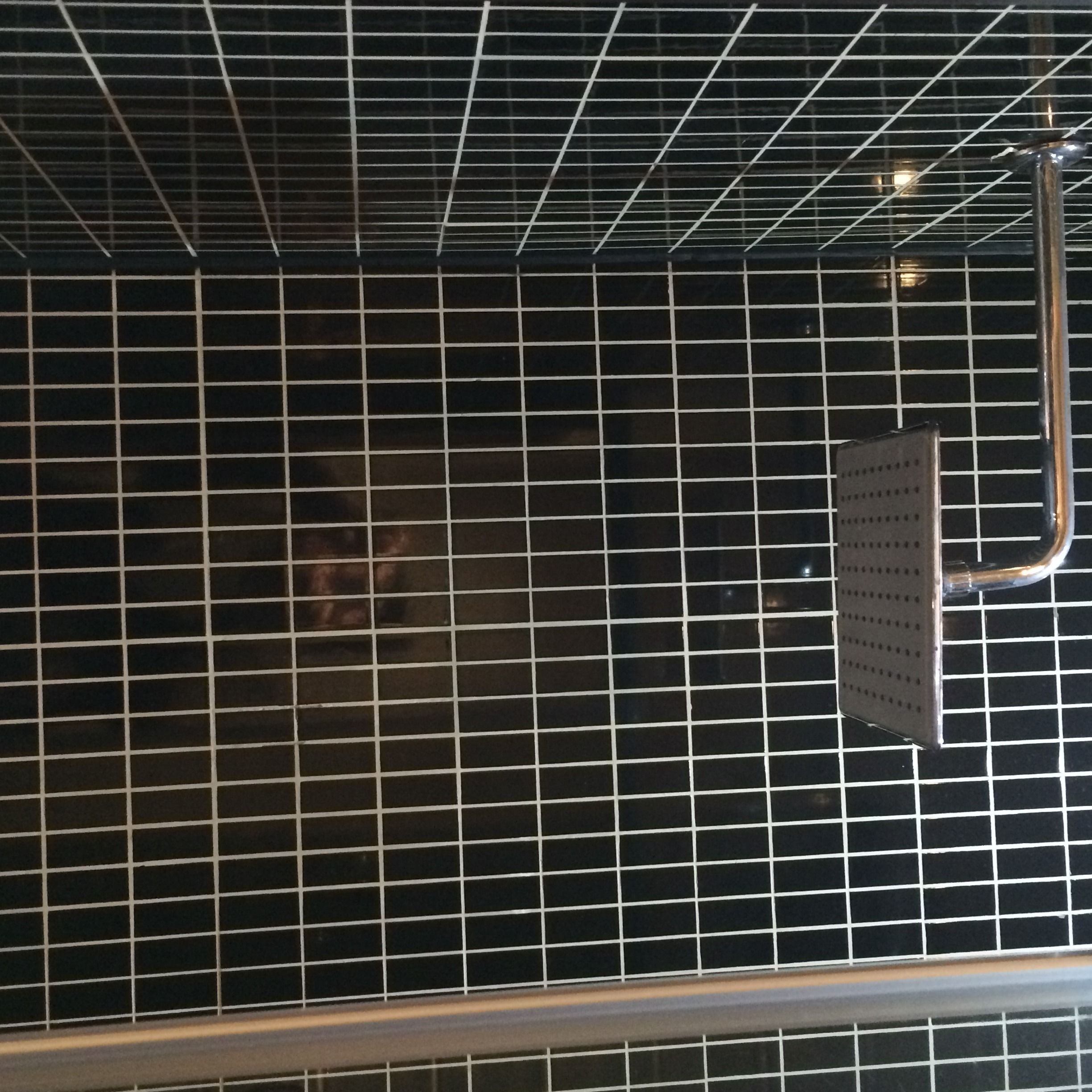 Foto - The Crystal Lodge Hotel