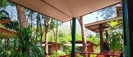 Deluxe Room | Terrace/patio