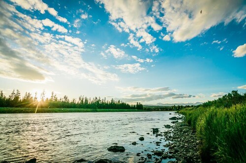 The Fishing Bear Lodge
