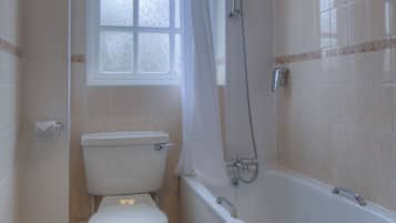 A bathroom with a toilet, a shower, and a bathtub.