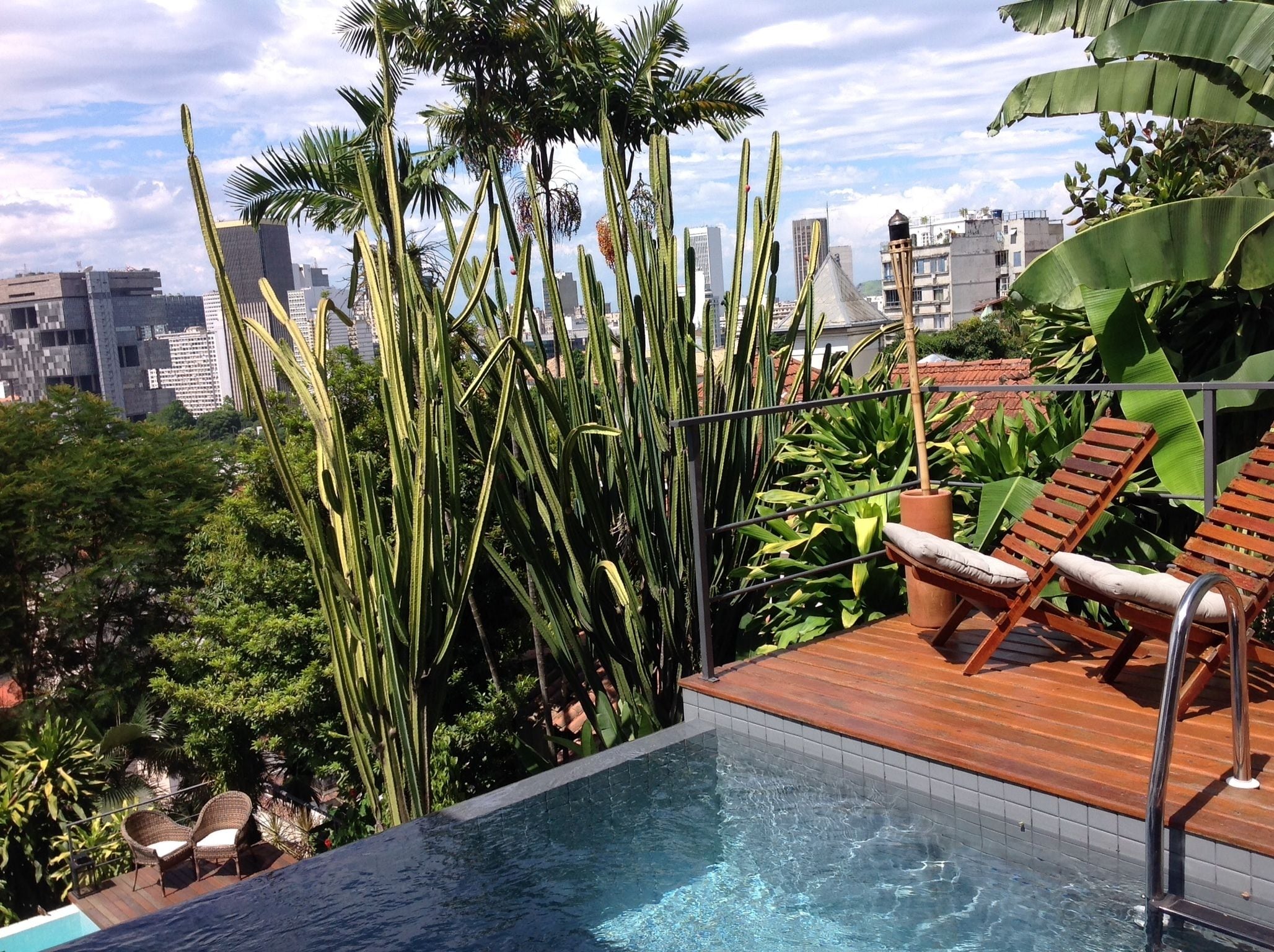 Un área de piscina en la azotea con terraza de madera, sillas de descanso y plantas altas.