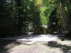 Een basketbalveld met een houten gebouw op de achtergrond, omringd door bomen.