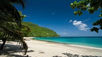 Plage, chaises longues, bar de plage