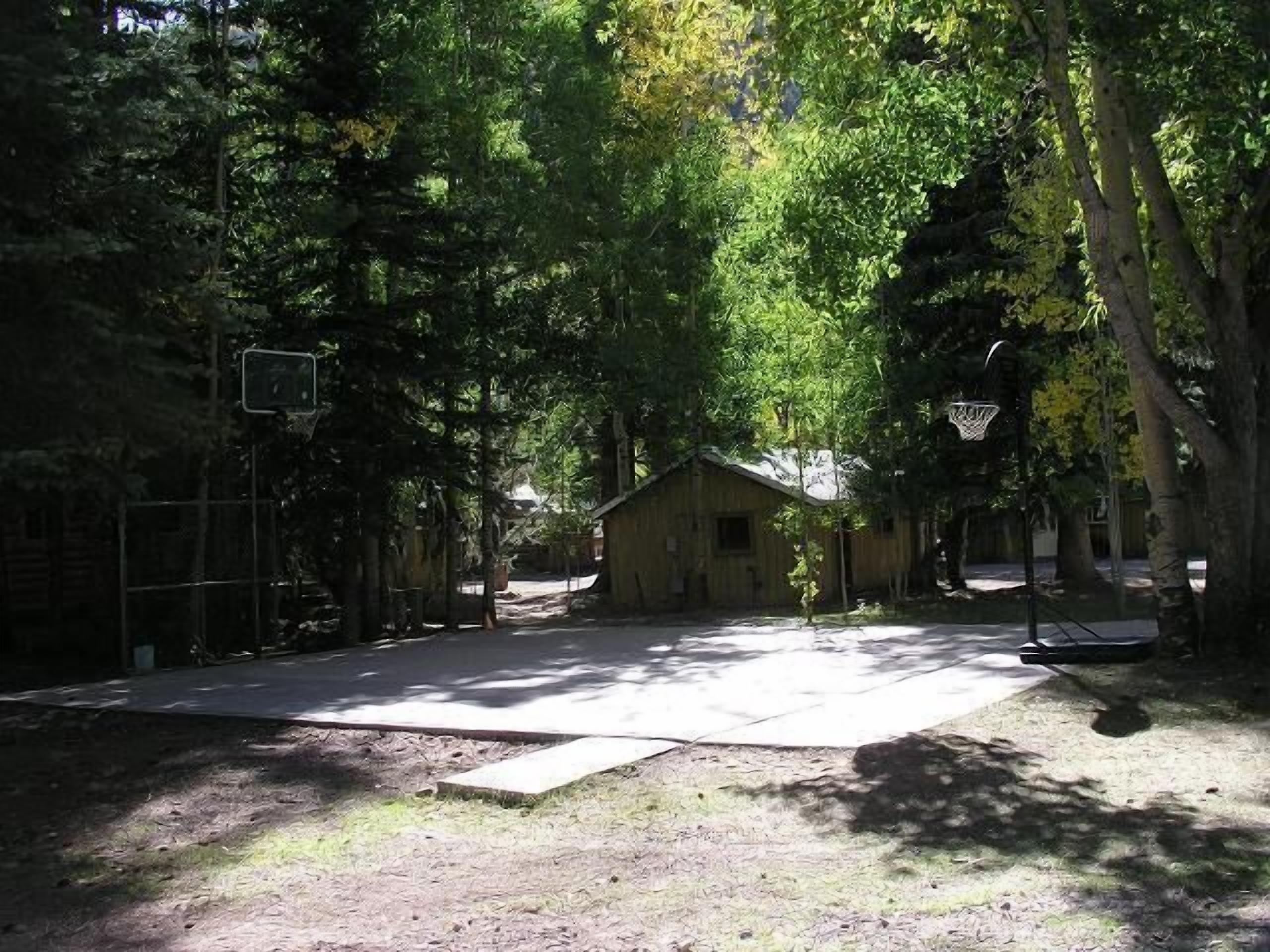 Basketballbane