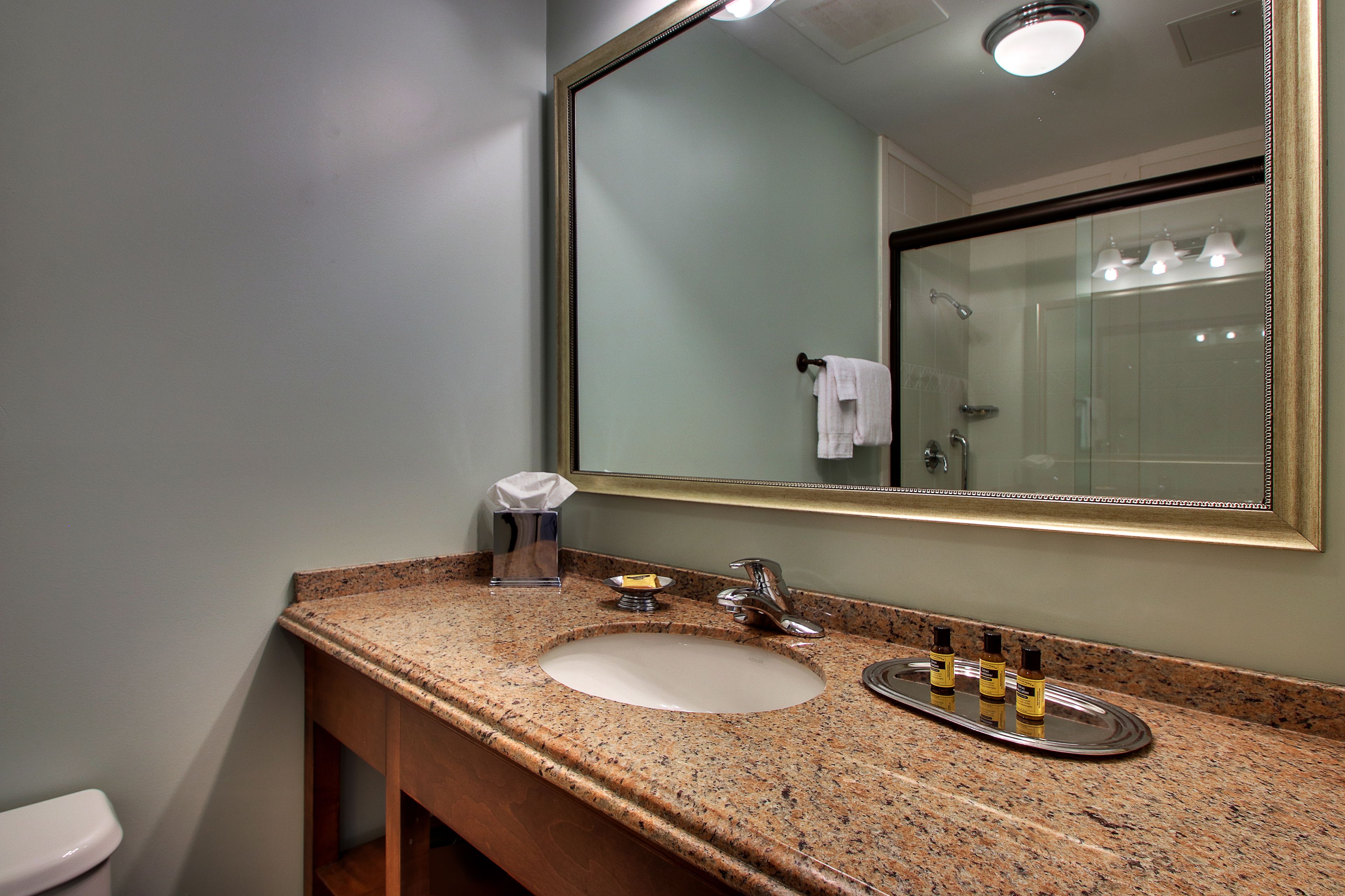 designer toiletries, hair dryer, towels