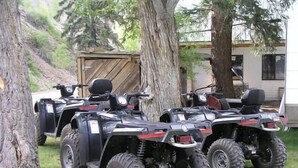 Trois véhicules tout-terrain sont stationnés dans une zone herbeuse, avec des arbres et une structure en bois en arrière-plan.