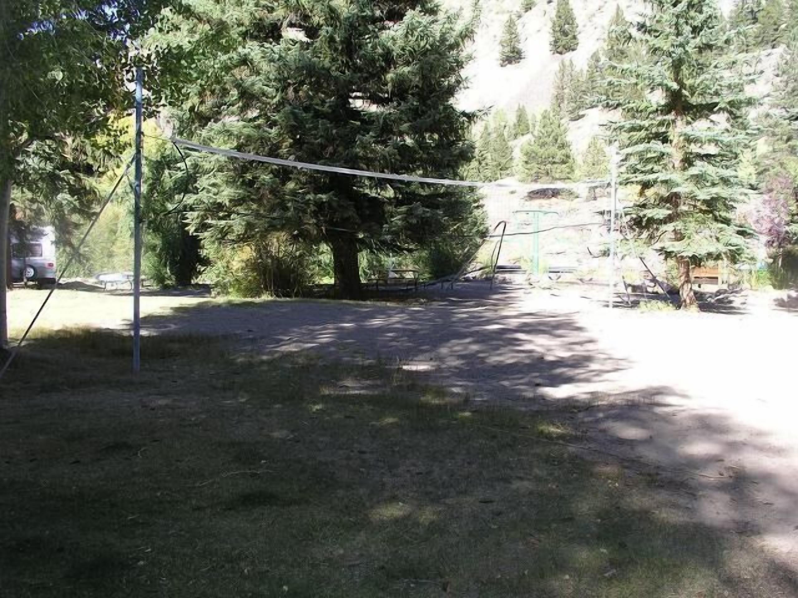 An outdoor area with a dirt path, trees, and a metal fence.