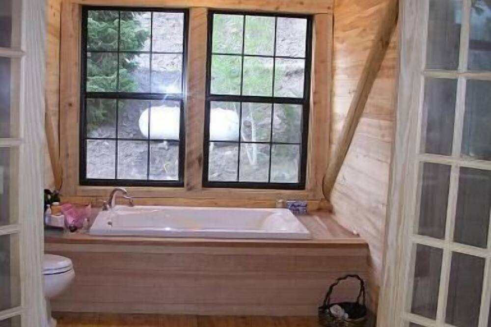 Mountain House Vacation Rental - Lake San Cristobal, CO