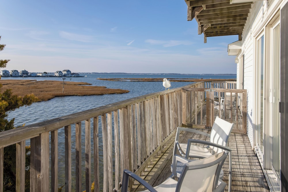 Lighthouse Club Hotel by null
