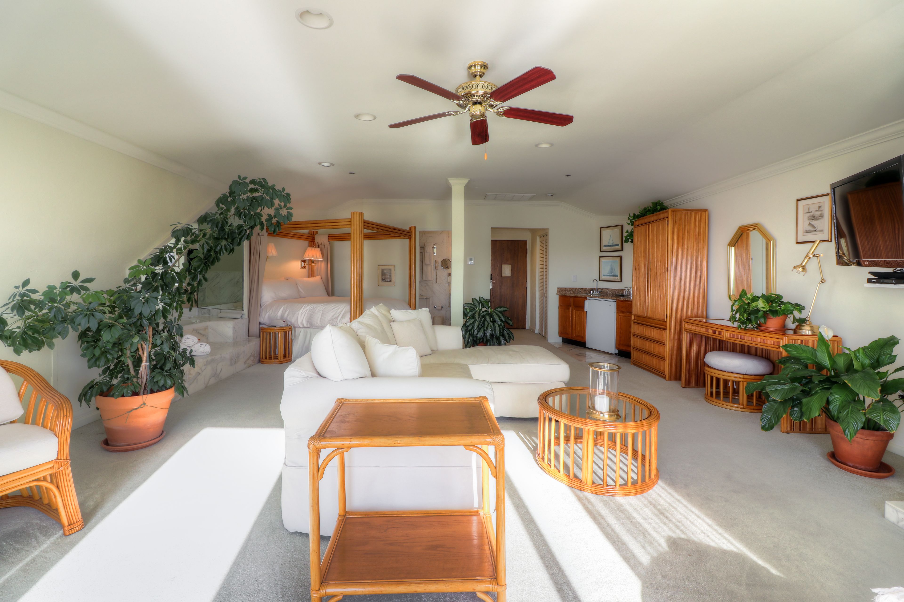 A spacious living room with a white sofa, wooden furniture, and potted plants.