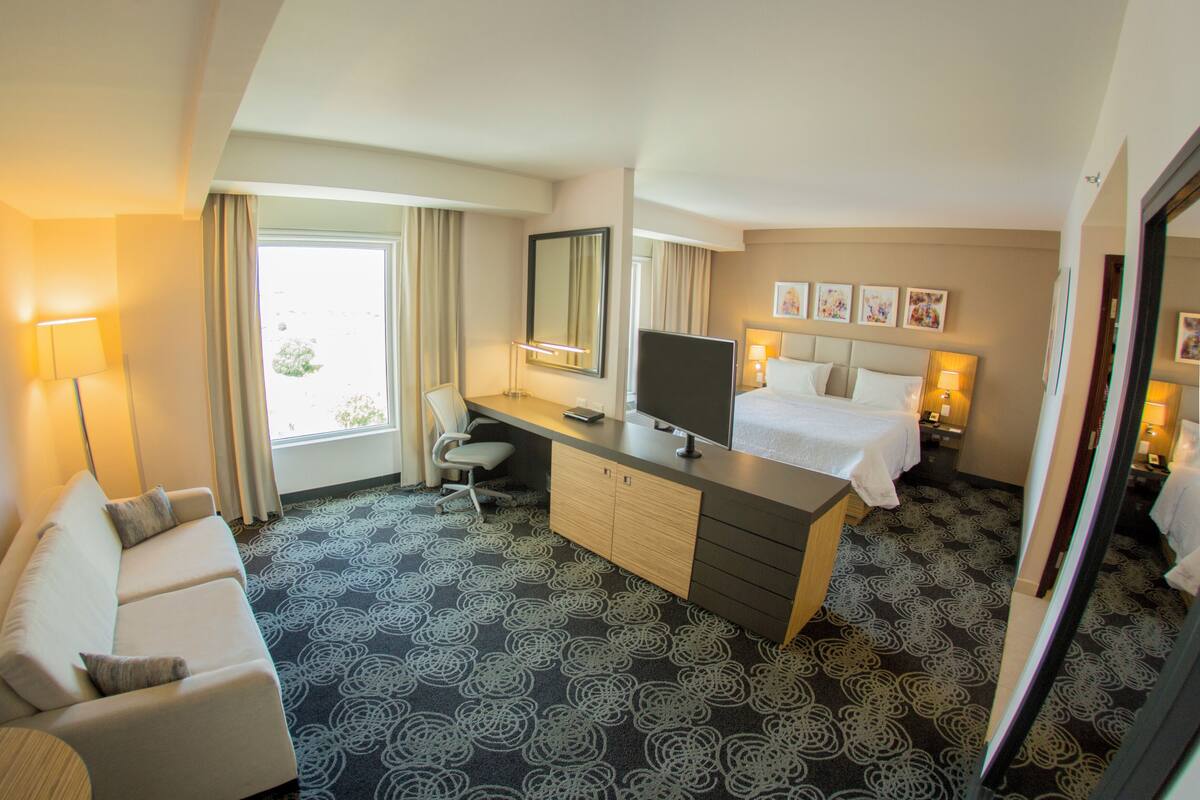 Una habitación de hotel con una cama, un escritorio, una silla, un televisor y un sofá.
