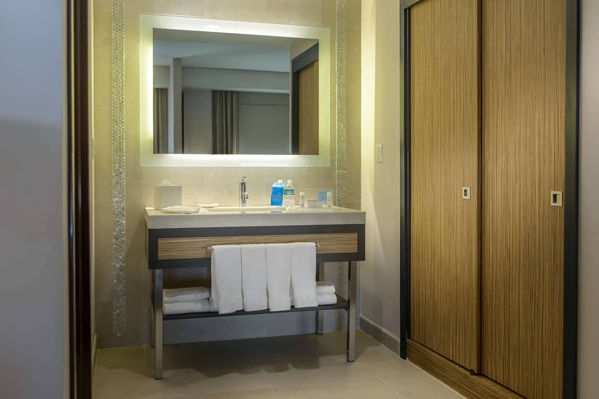 studio, 1 king bed, non smoking | bathroom | shower, free toiletries, hair dryer, towels