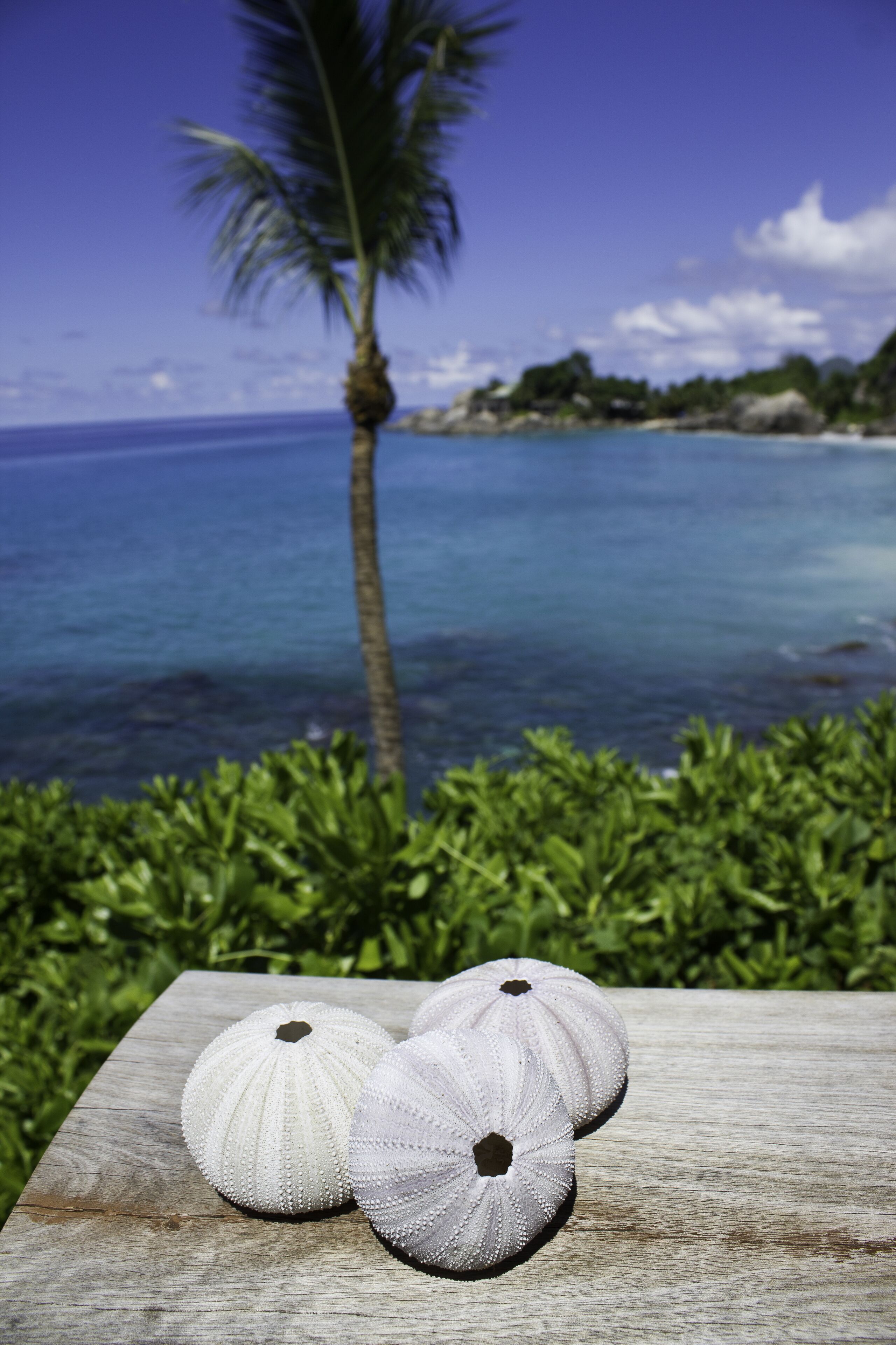 ocean view chalet | view from room