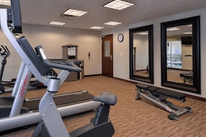 Une salle de sport équipée de machines de cardio, d’un banc et de miroirs.