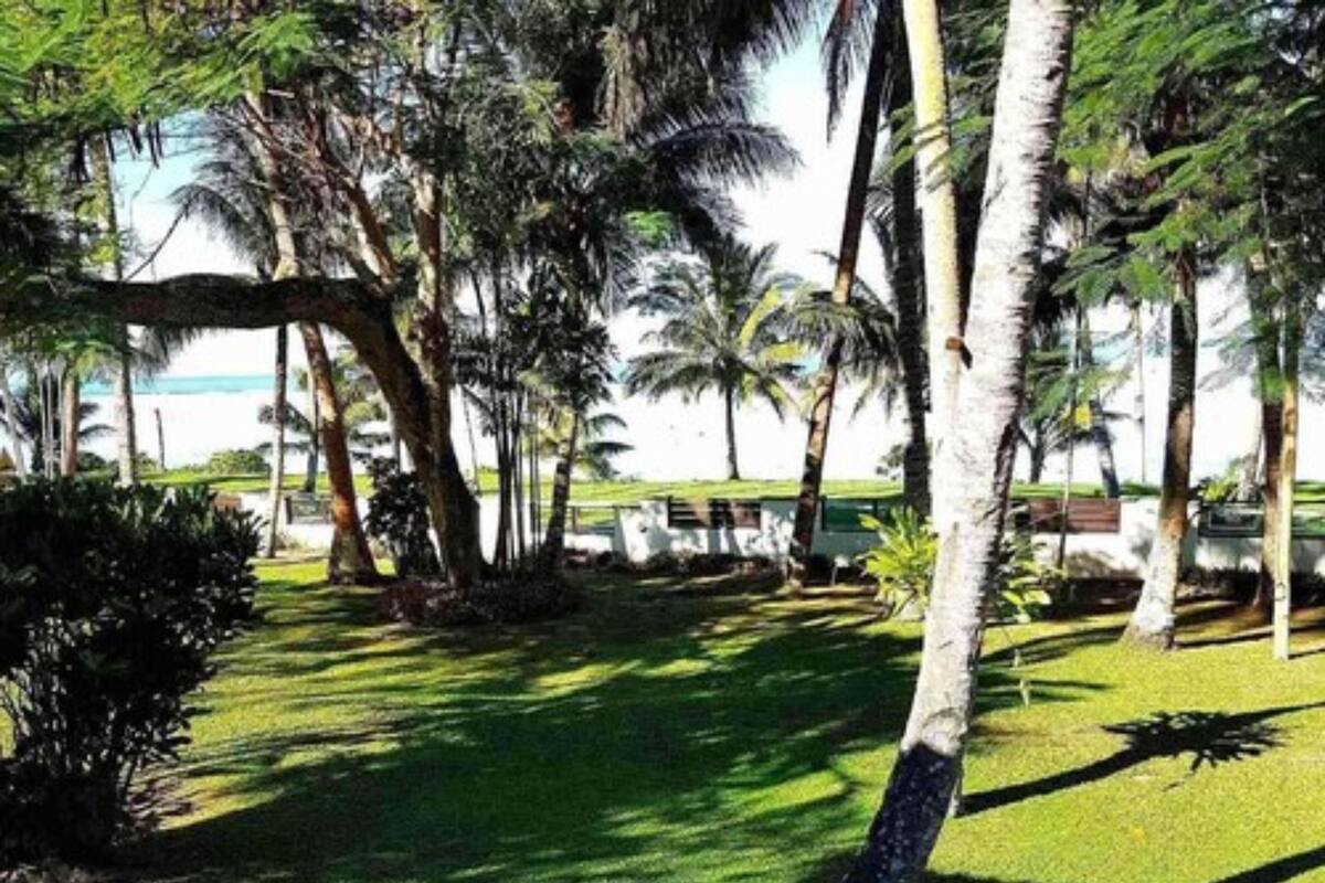 A grassy area with palm trees and a white lounge chair.