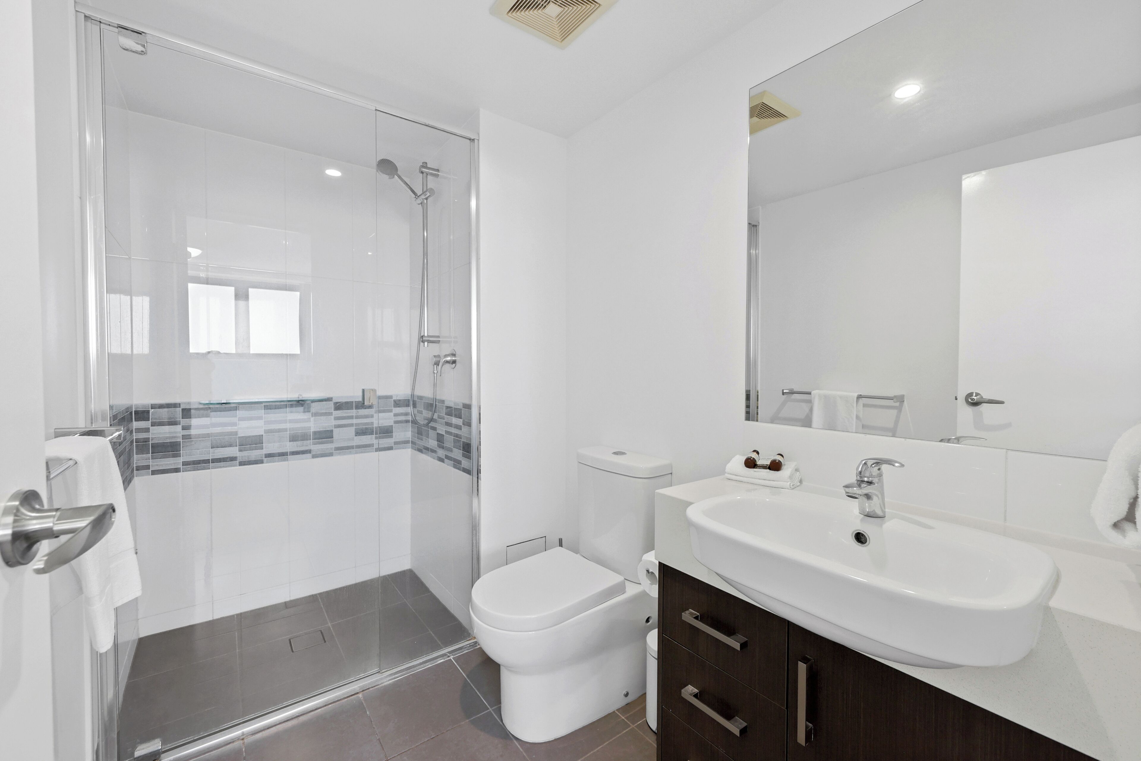 A modern bathroom with a glass shower enclosure, a toilet, a sink, and a mirror.