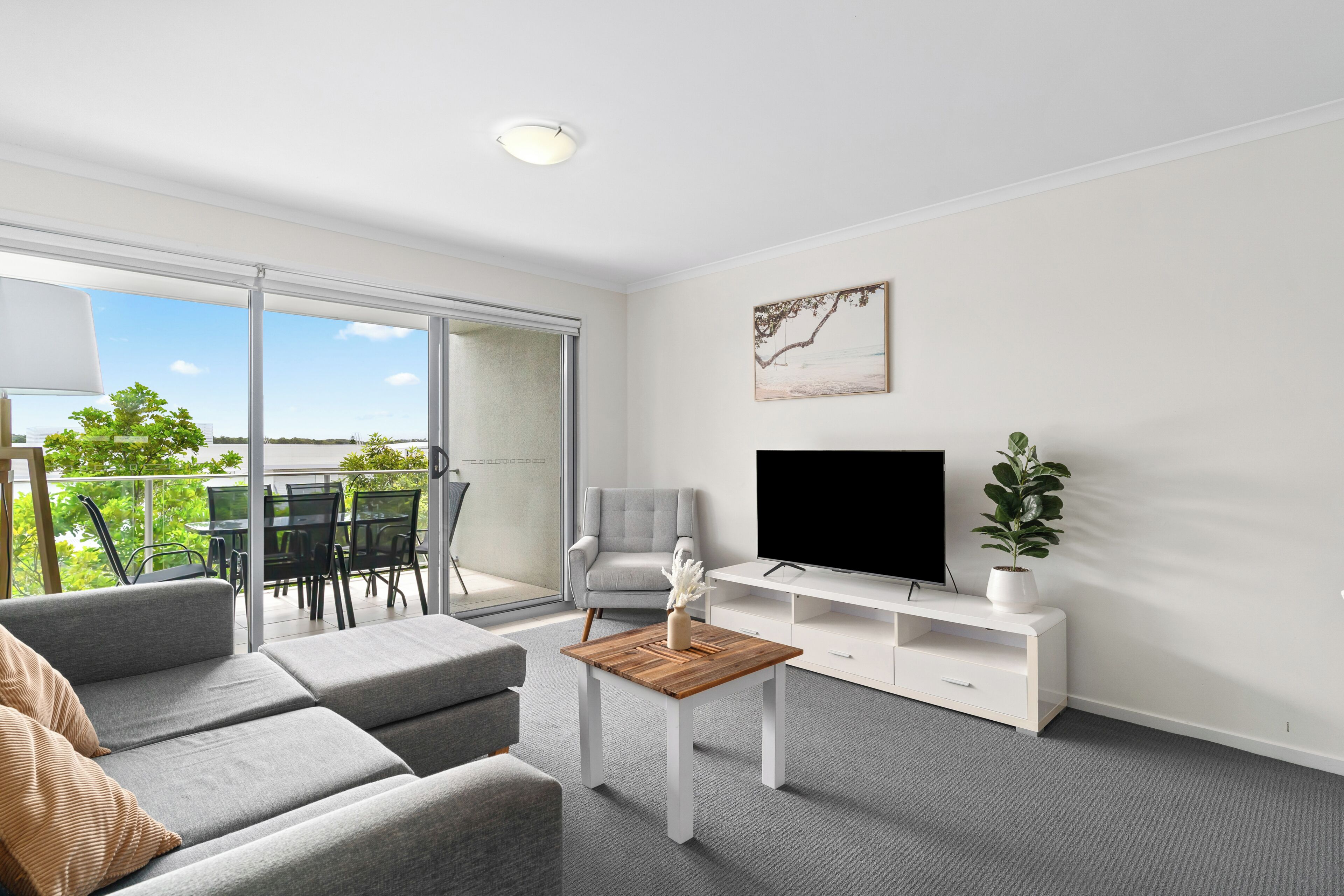 Flat-screen TV, DVD player