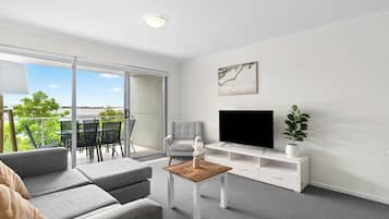 Flat-screen TV, DVD player