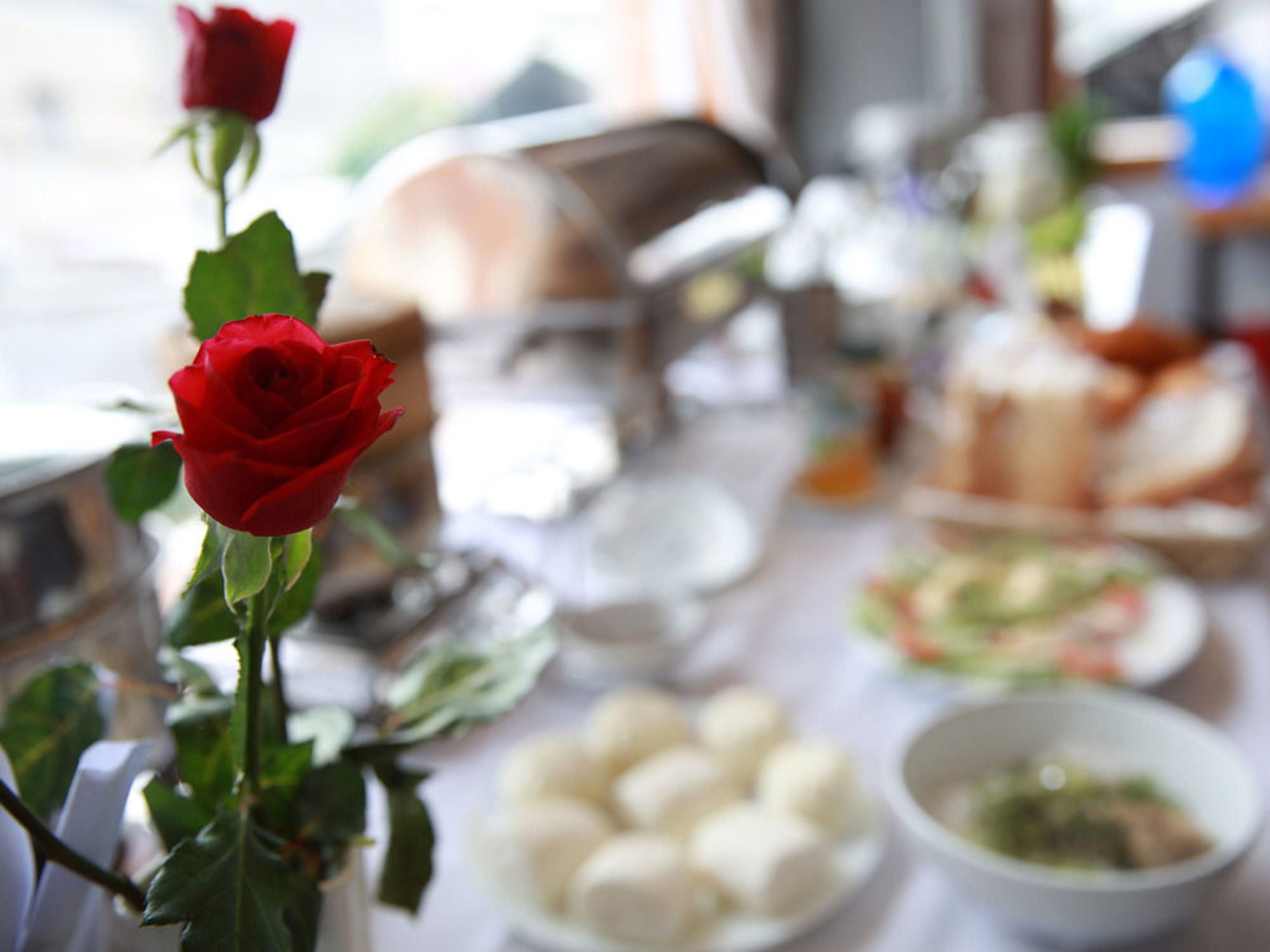 A dining table with various dishes and a red rose in the foreground.