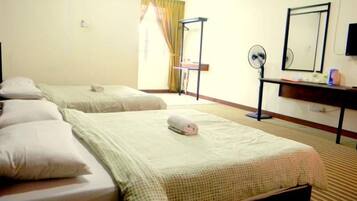 Desk, iron/ironing board, free WiFi