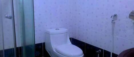 A bathroom with a glass-enclosed shower, a toilet, and a sink.
