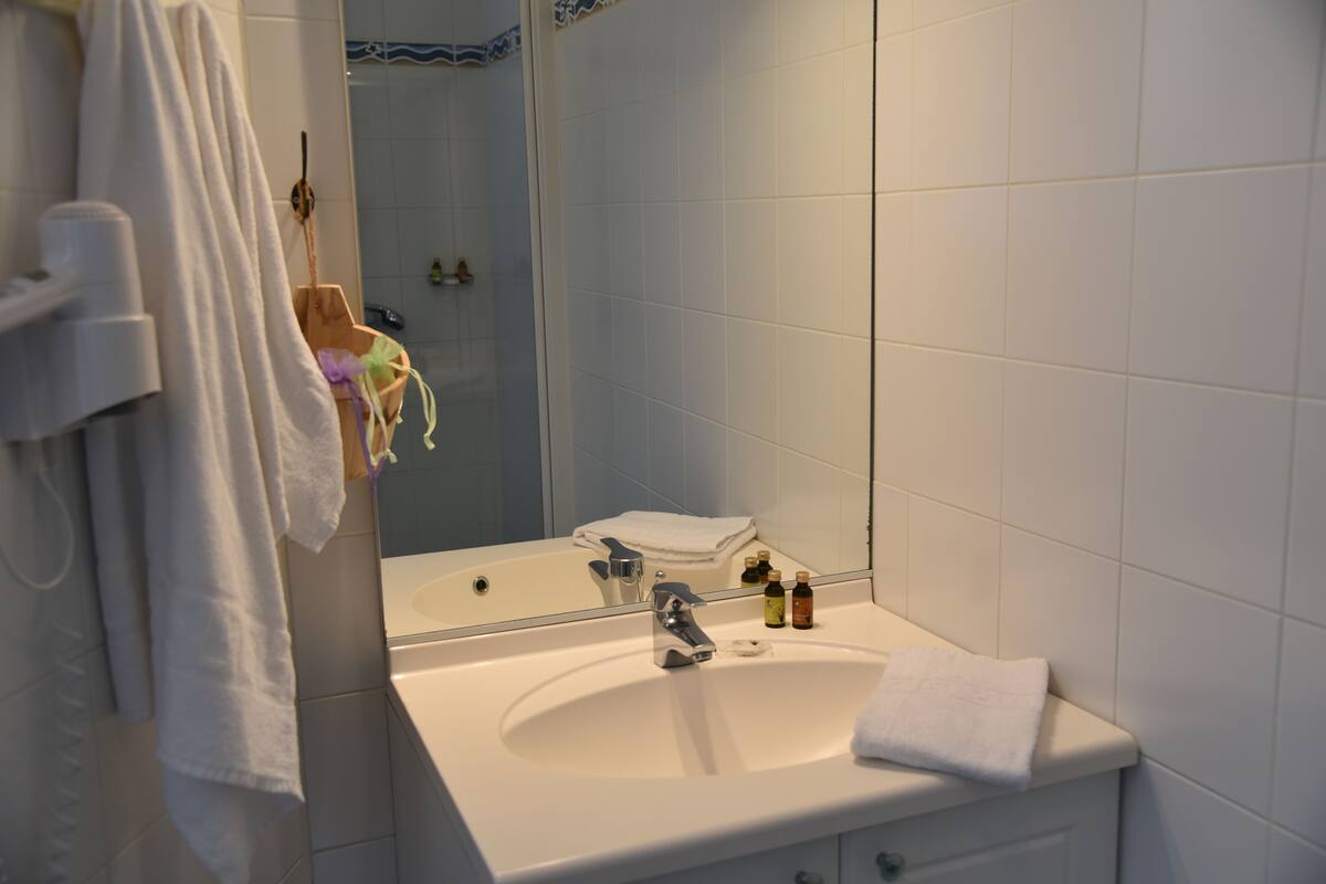 double room, terrace | bathroom | shower, hydromassage showerhead, free toiletries, hair dryer