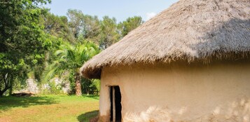 Une hutte traditionnelle à toit de chaume, dotée d’une seule porte, entourée d’une végétation luxuriante et de palmiers.