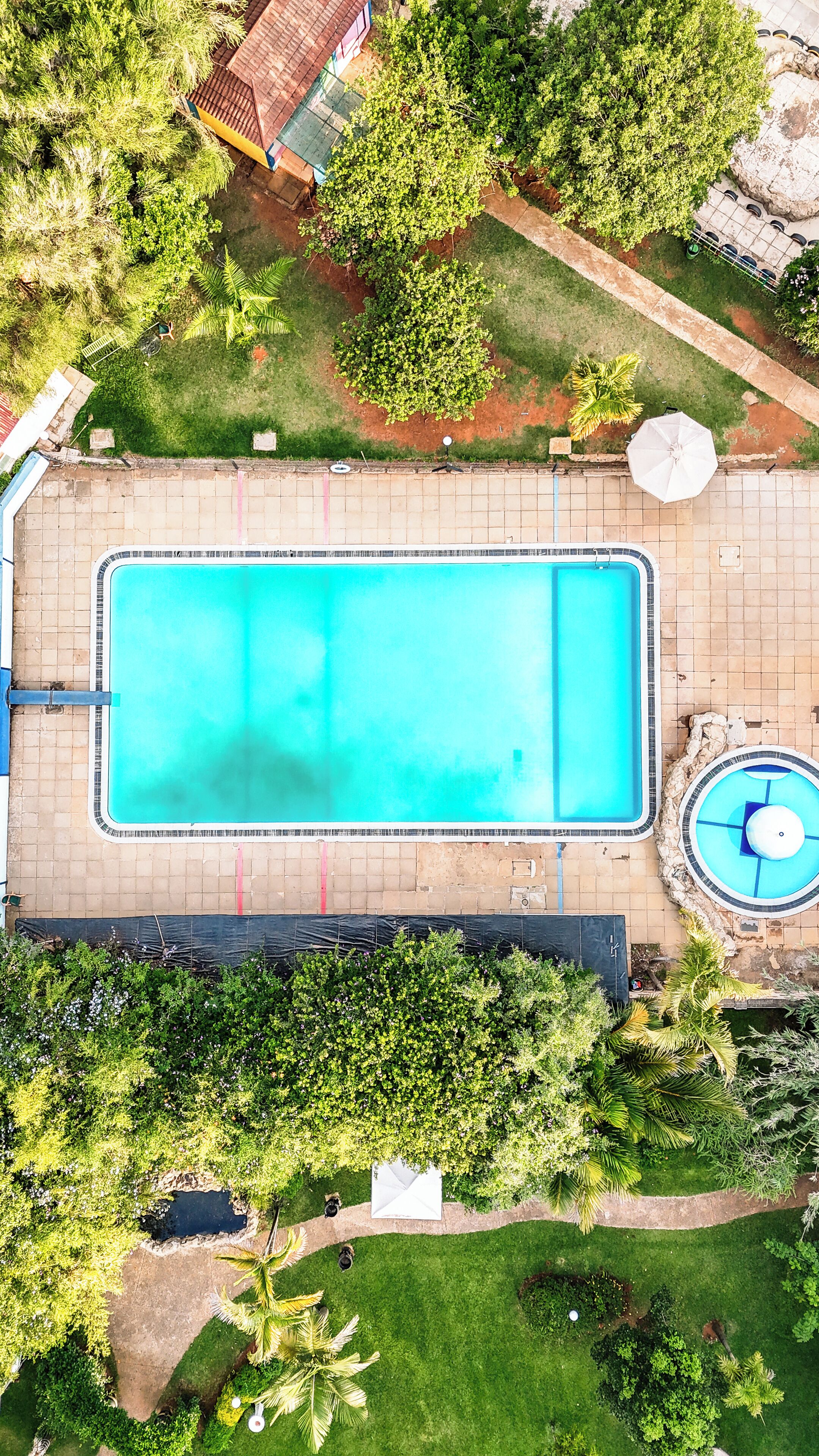An aerial view of a rectangular swimming pool with a tiled deck surrounding it, a small circular hot tub, and lush greenery.
