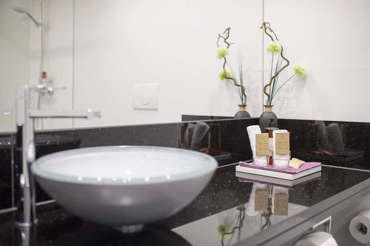 shower, free toiletries, hair dryer, towels