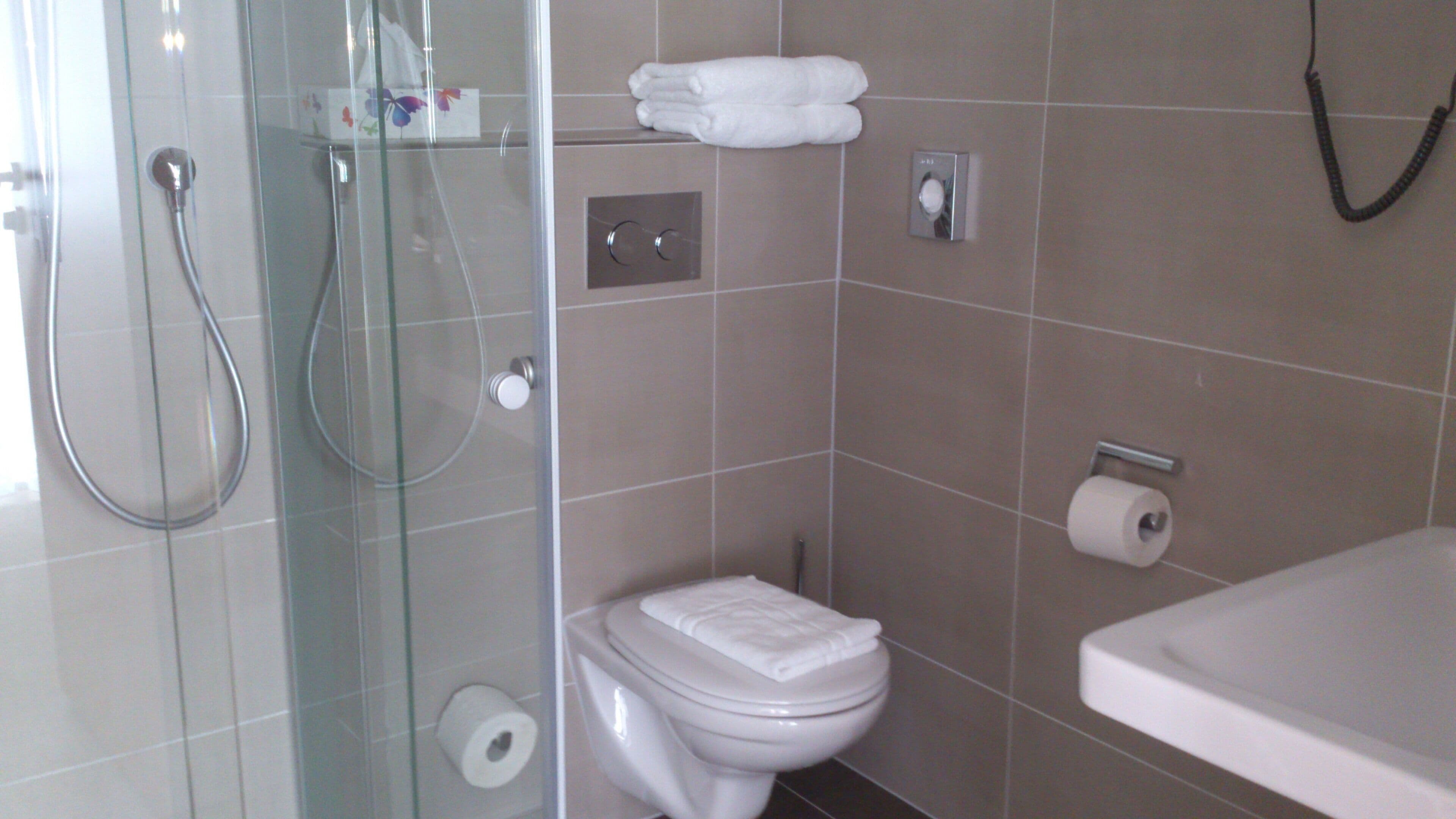A bathroom with a glass-enclosed shower, a toilet, and a sink.