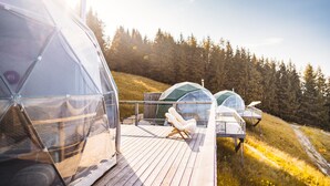 Cabañas con forma de cúpula transparente, con terrazas de madera y sillones de descanso, ubicadas en un área boscosa.