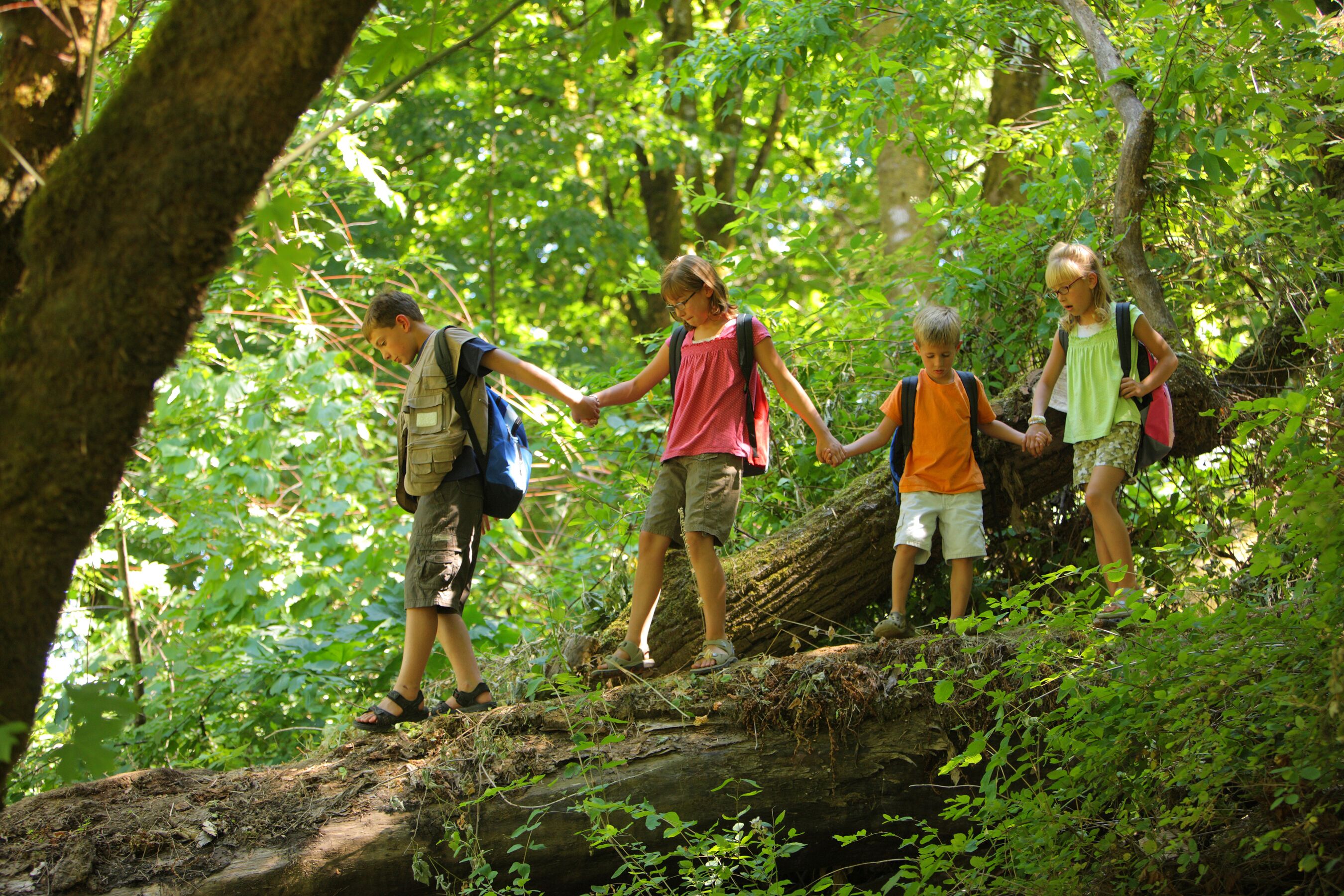 A group of people hiking on a forest trail.