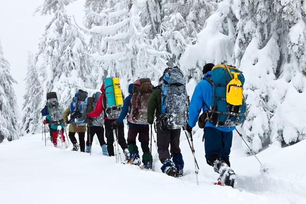 Un grupo de personas caminando en un bosque nevado.