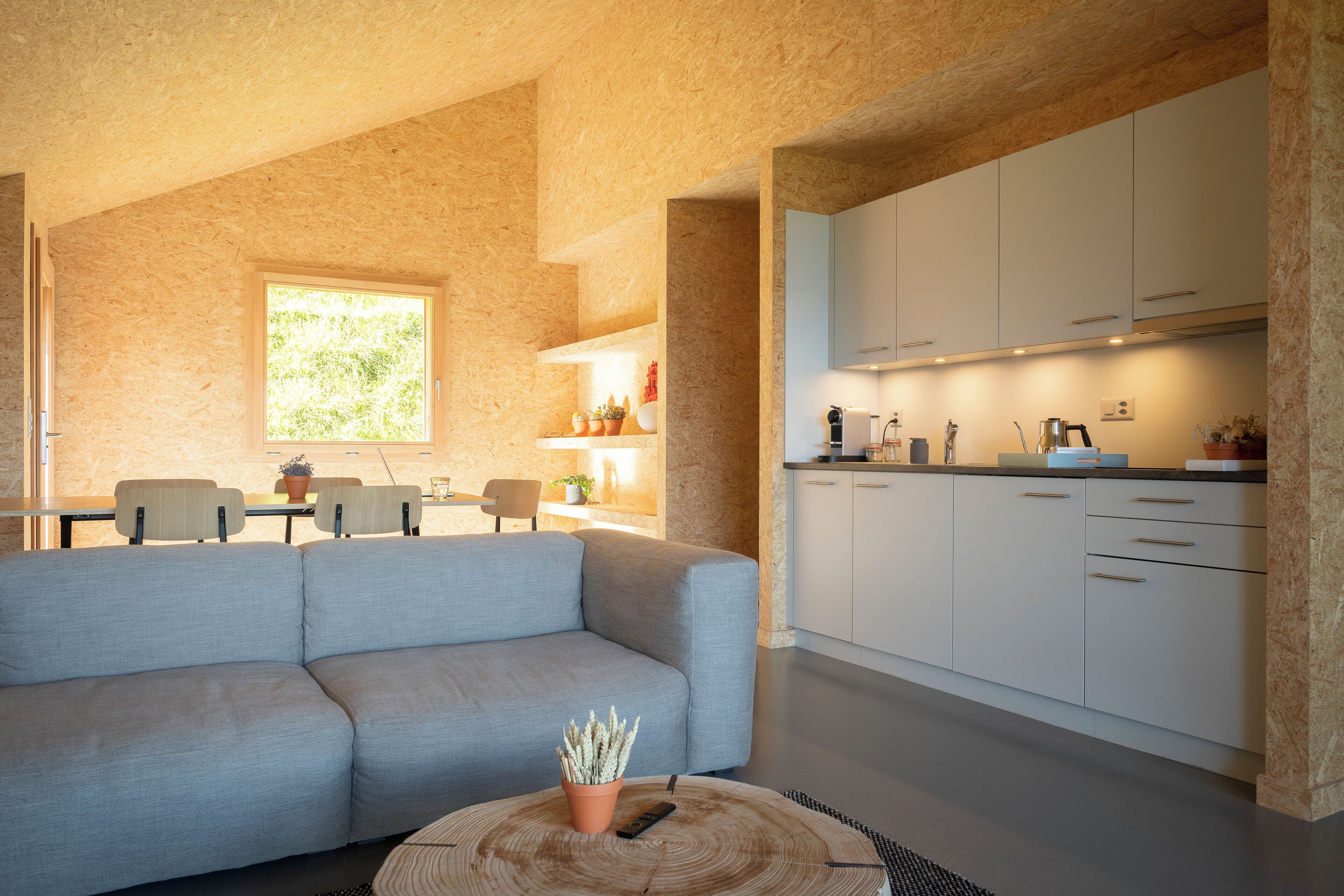 A modern living room with a grey sofa, a round coffee table with a cactus, and a kitchen with white cabinets and a window.