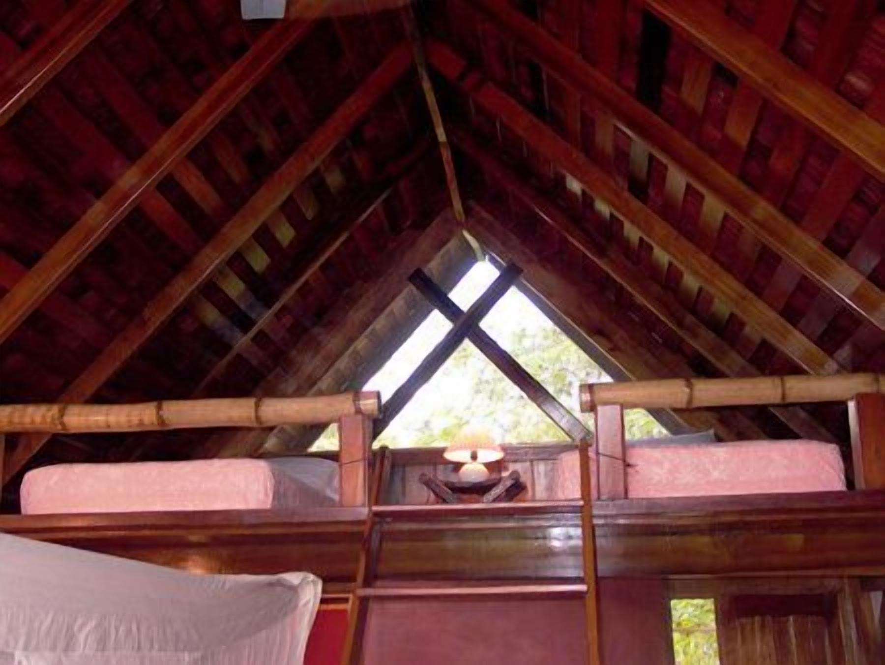 A dormitory room with bunk beds, a ladder, and a window.