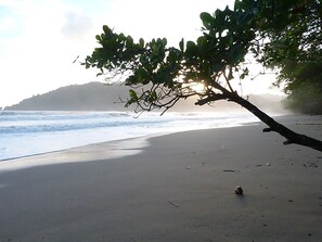 Plage à proximité, serviettes de plage