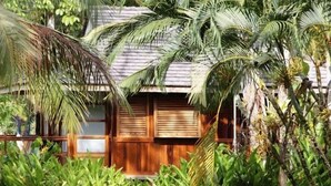 A wooden house surrounded by lush greenery and palm trees. - Acajou Hotel (Grande Riviere)