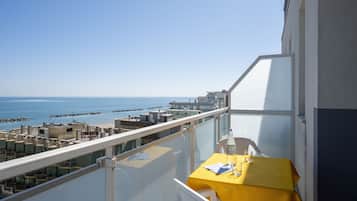 Superior Double or Twin Room | View from room