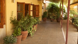 Un espacio al aire libre cubierto con macetas de terracota y puertas de madera.