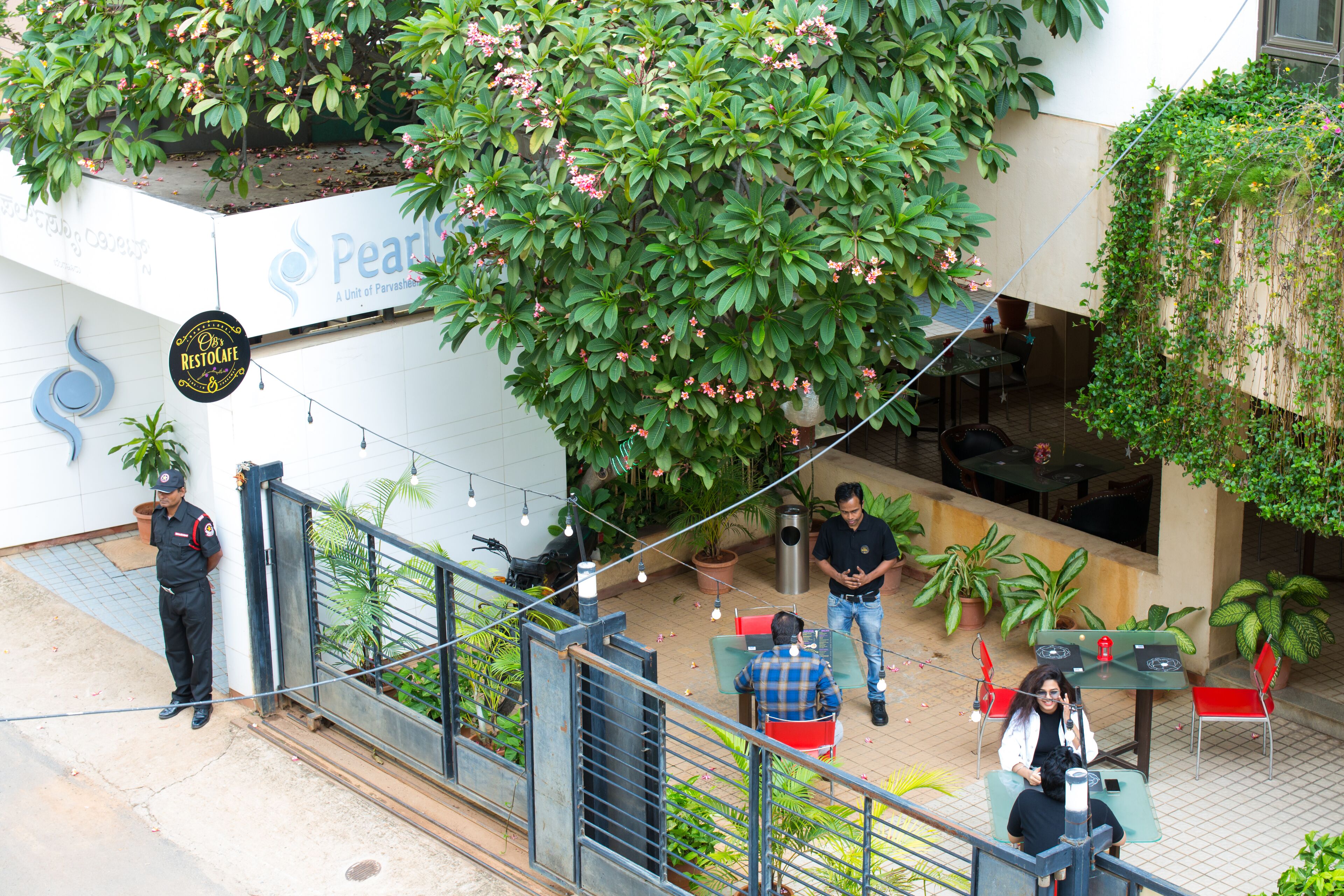 An outdoor seating area with tables and chairs, surrounded by potted plants and a large tree with pink flowers.