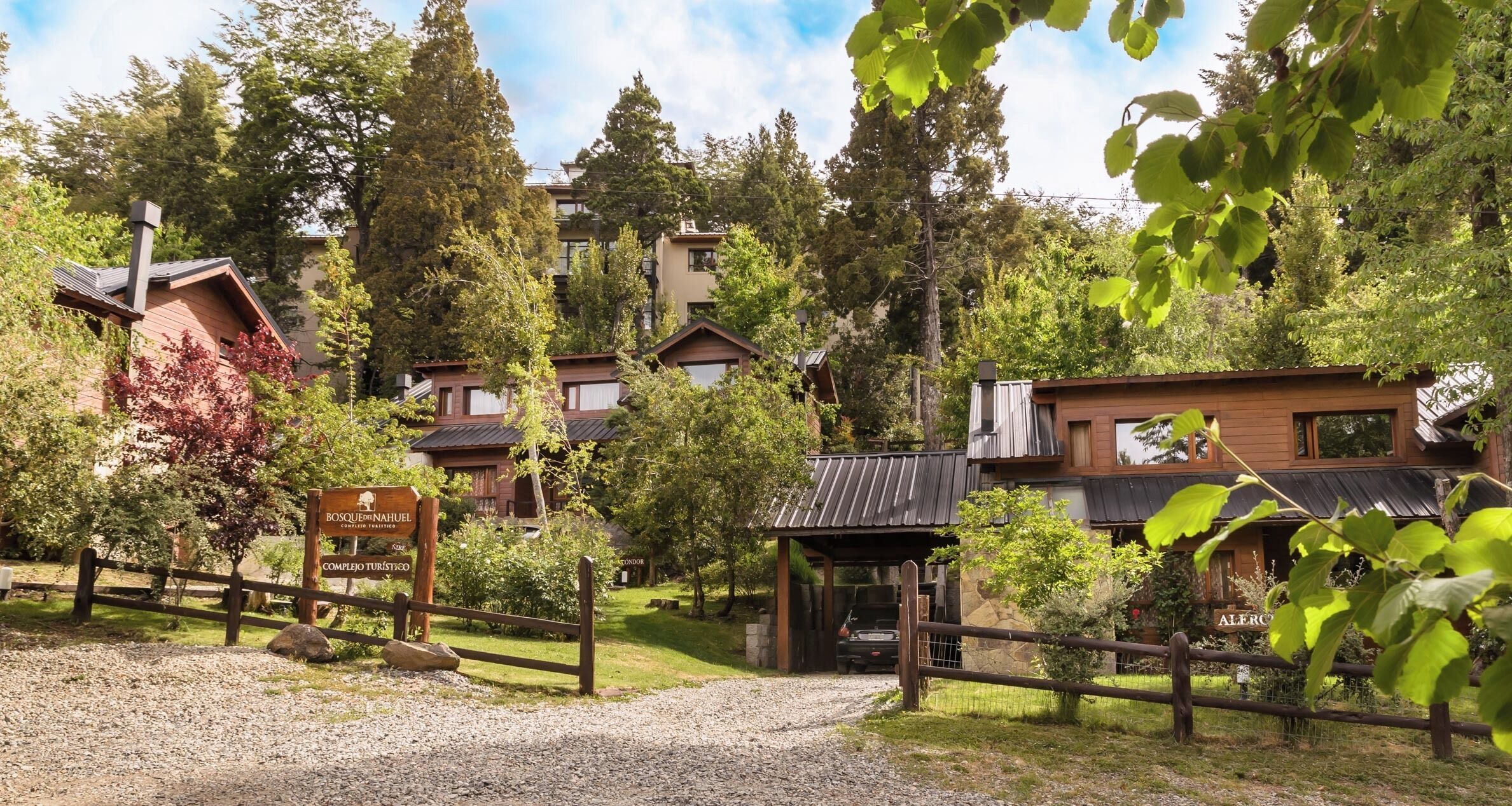 A rustic lodge with multiple wooden cabins surrounded by dense forest.
