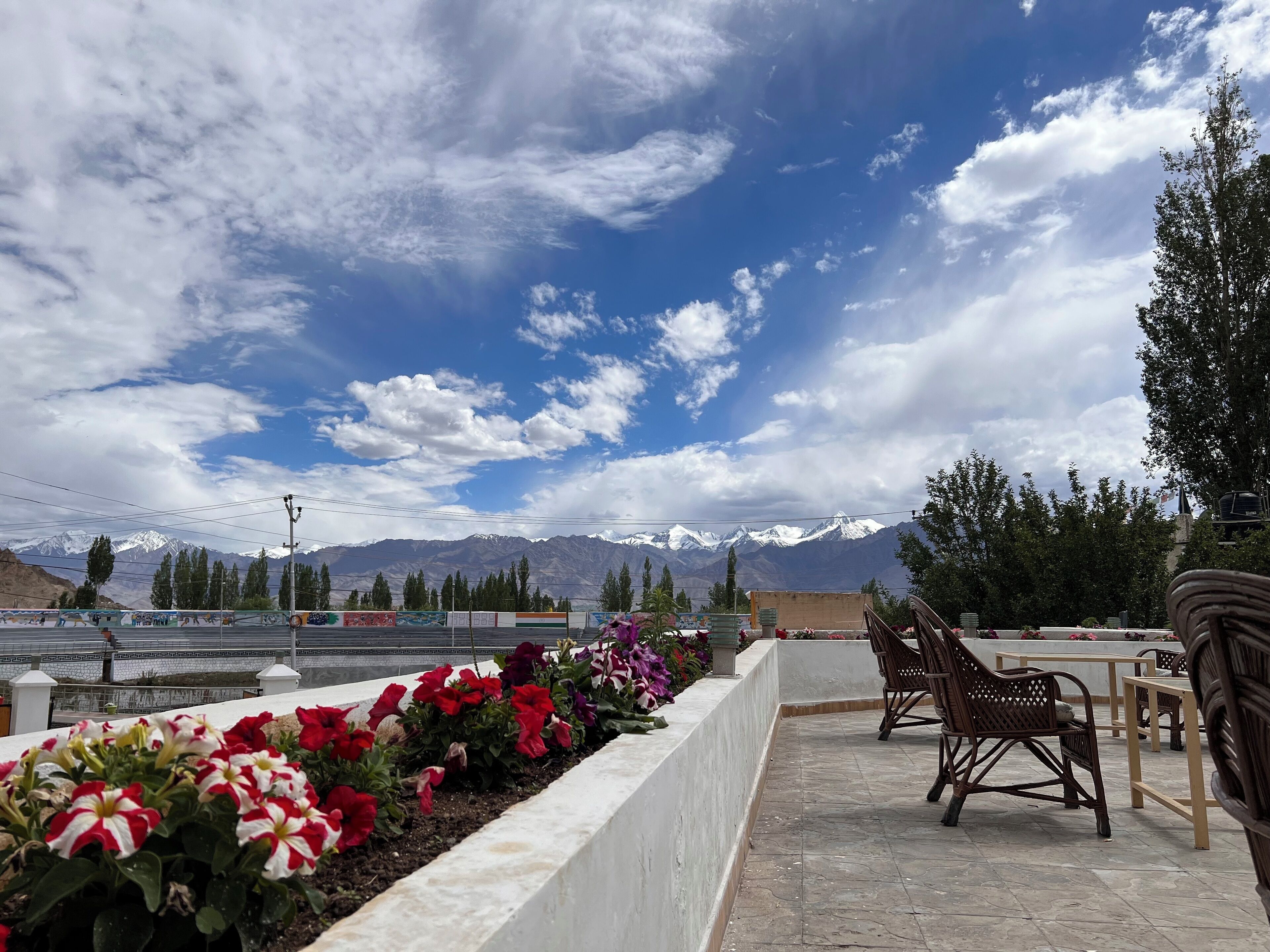 A terrace with a view of snow-capped mountains, a flower bed with red and white flowers, and wooden furniture.