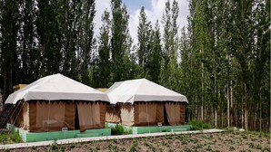 Two tents with numbers 106 and 107, set in a forested area with a dirt ground. - TIH Mystique Meadows Camp (Leh)